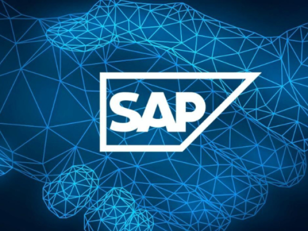 page 5 SAP Carve-out _ Fusion SAP